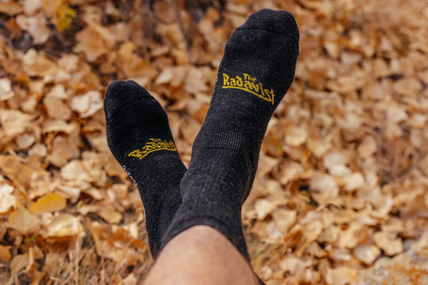 Socks - Cactavist Woolie Boolie