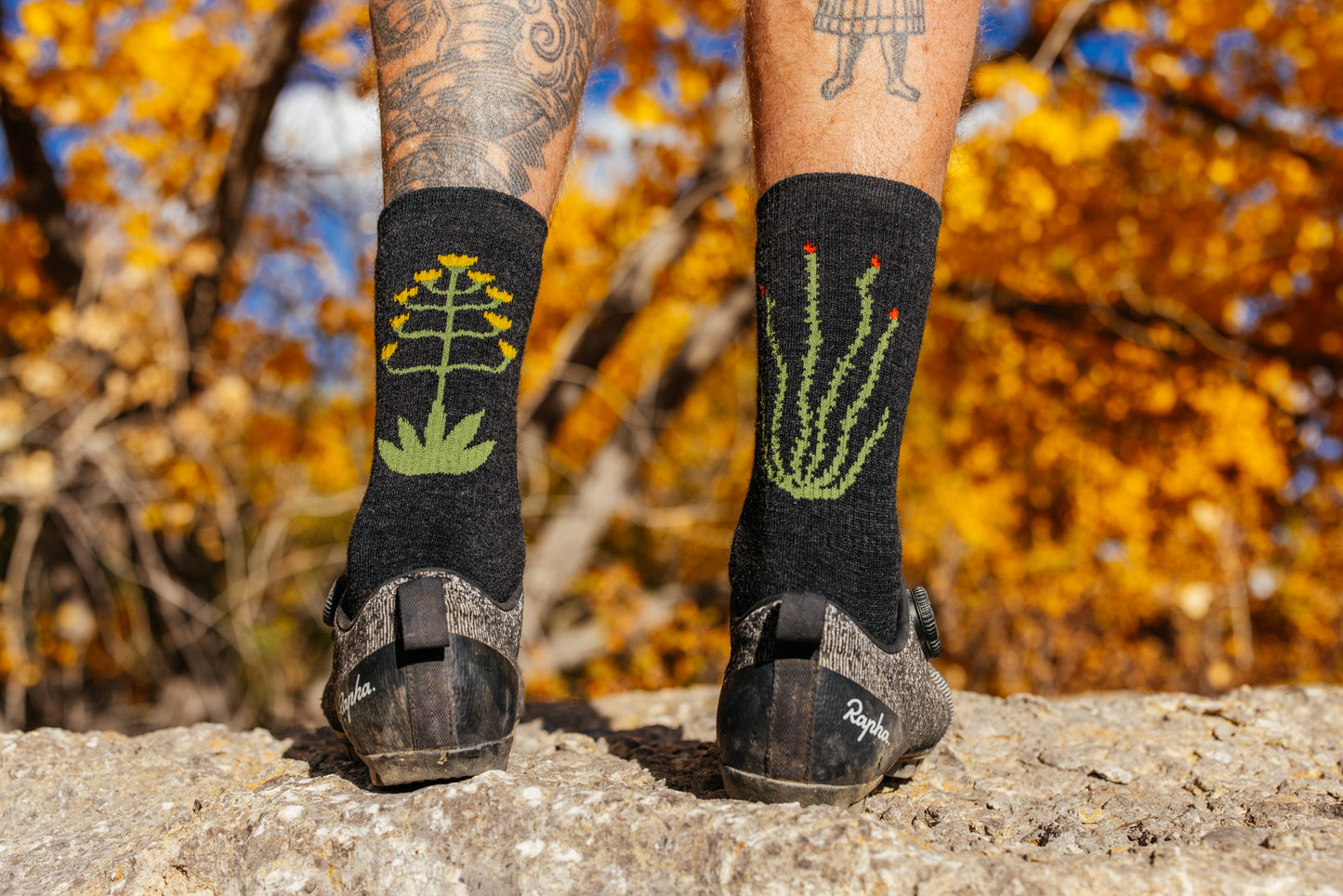 Socks - Cactavist Woolie Boolie