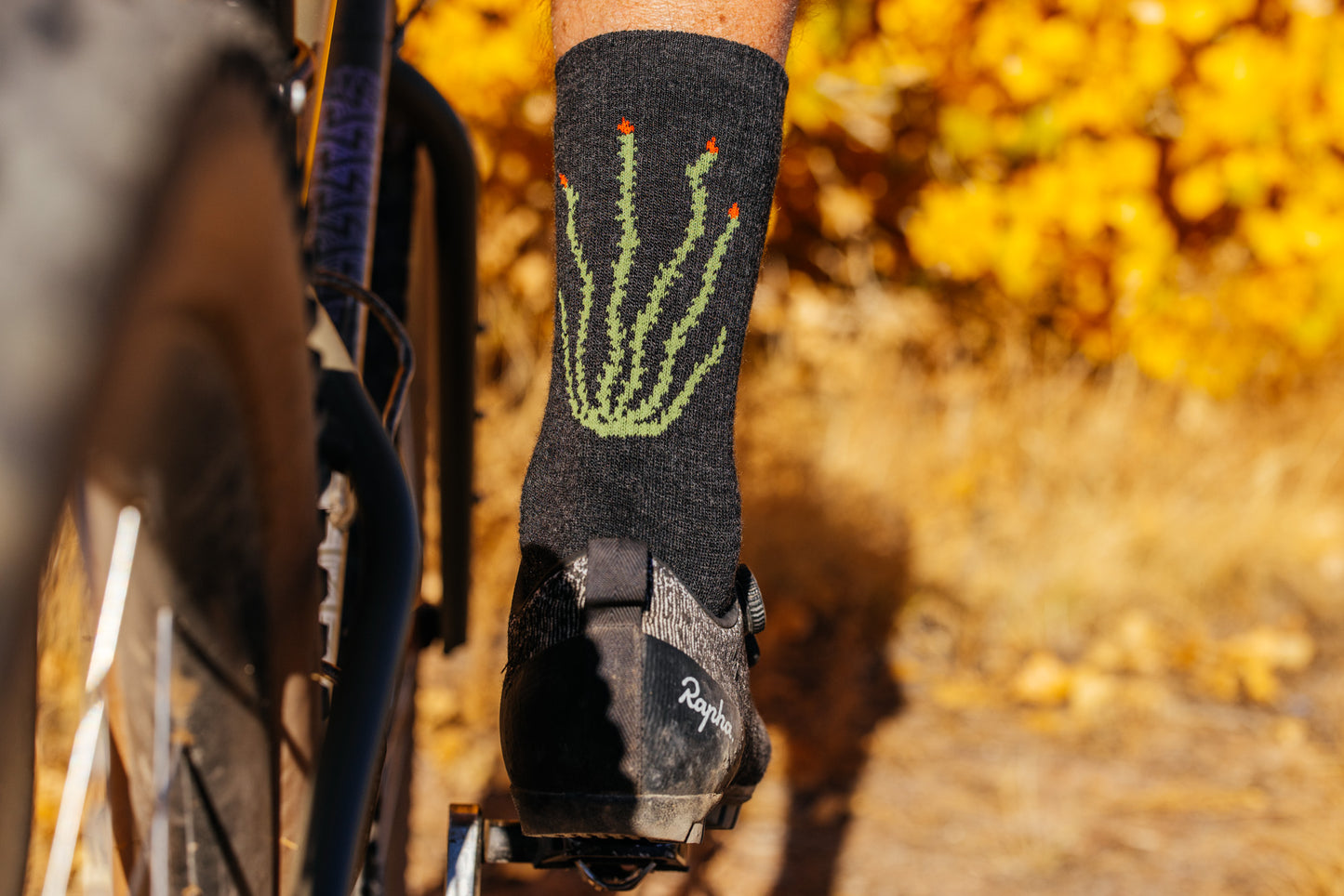 Socks - Cactavist Woolie Boolie