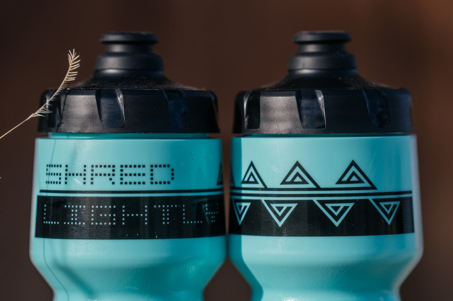 Water Bottles - Radasnake