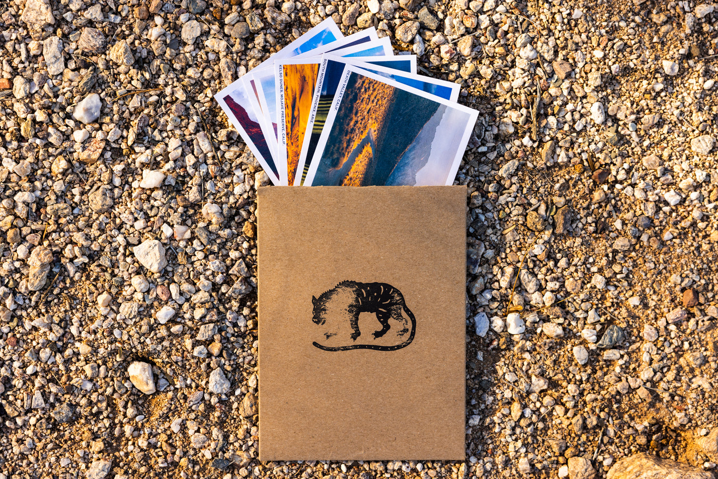 Postcards - Pack of 6
