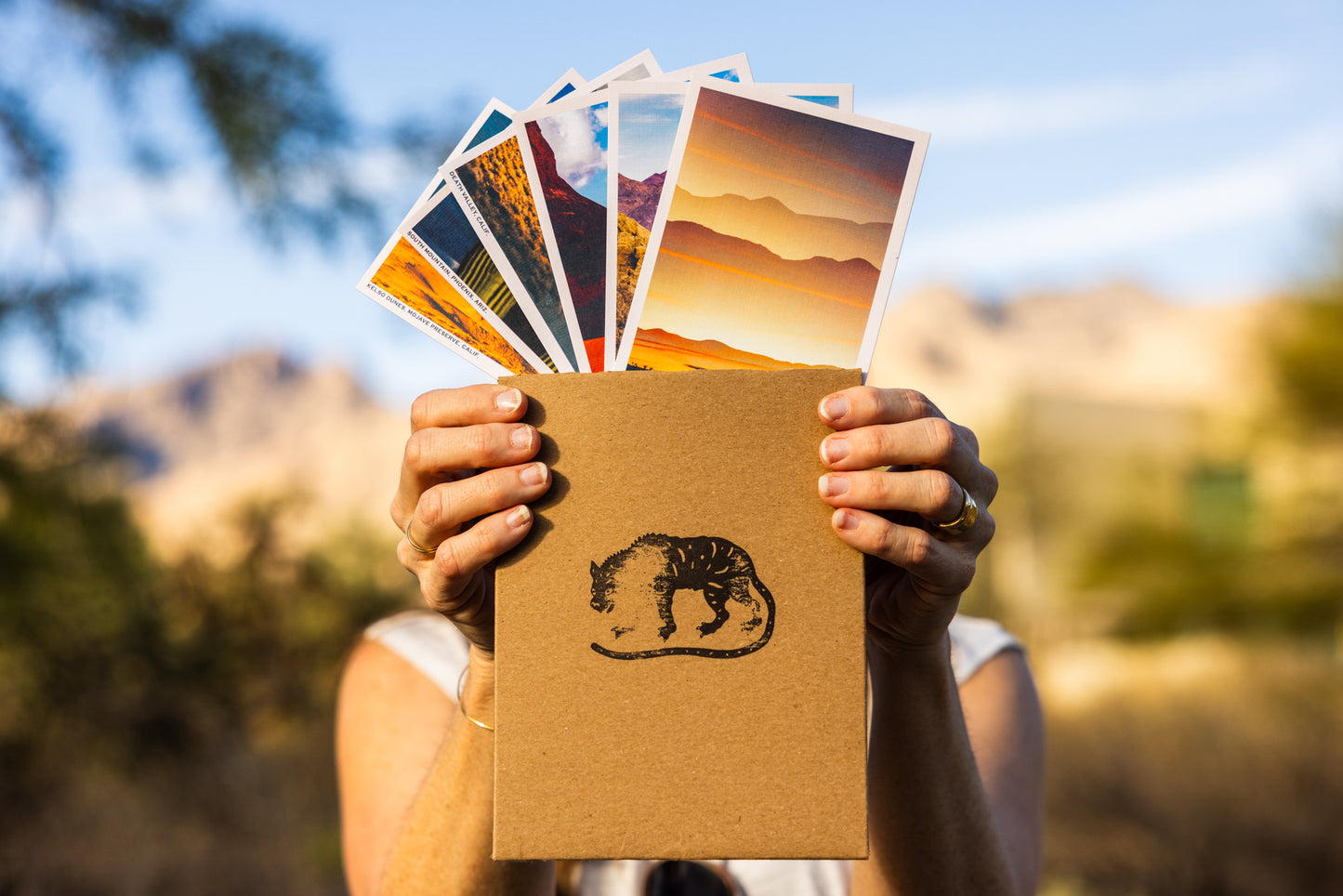 Postcards - Pack of 6