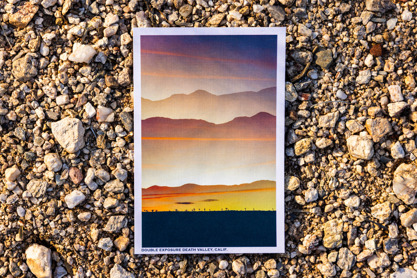 Postcards - Pack of 6