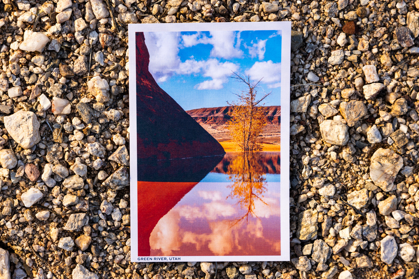 Postcards - Pack of 6