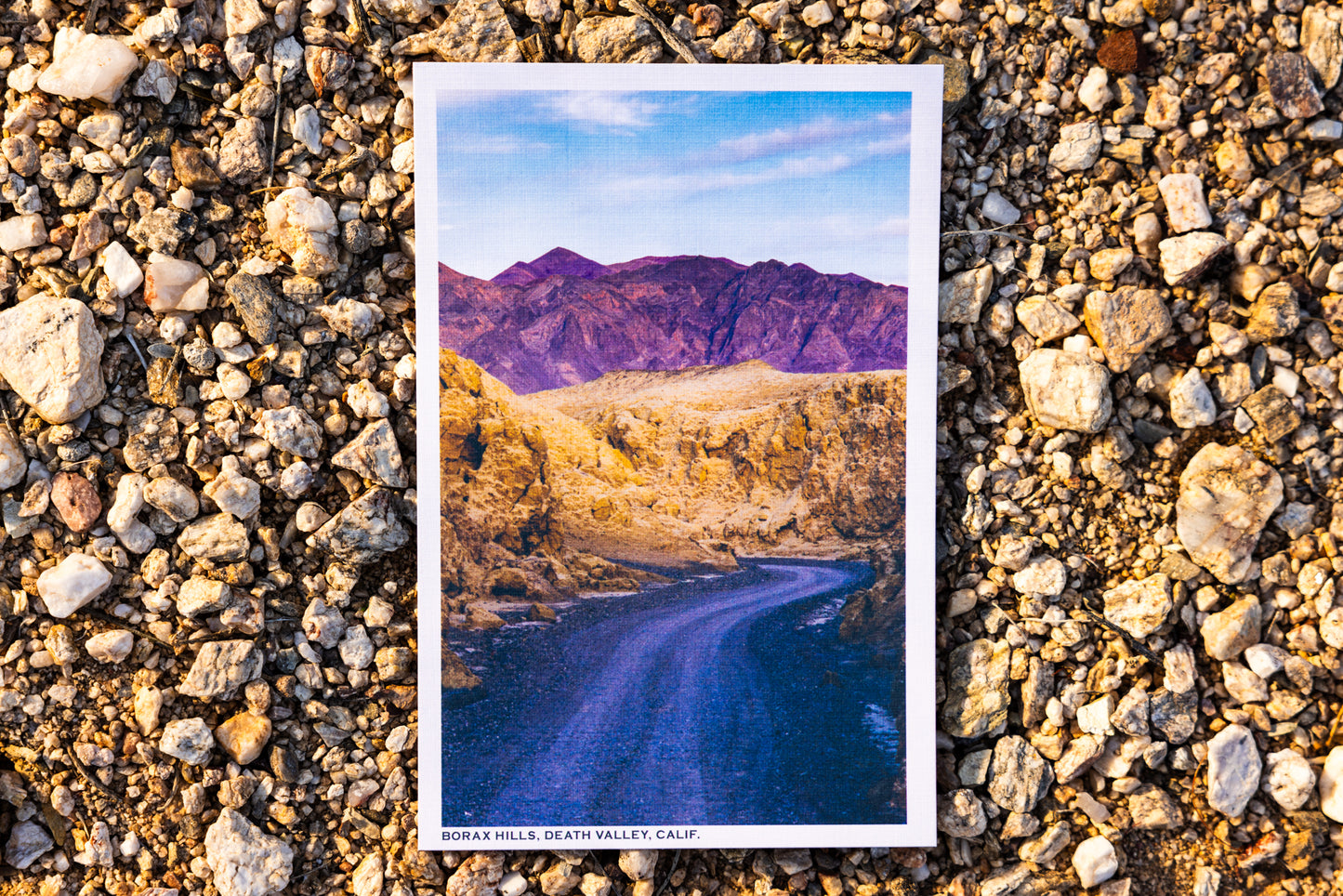 Postcards - Pack of 6