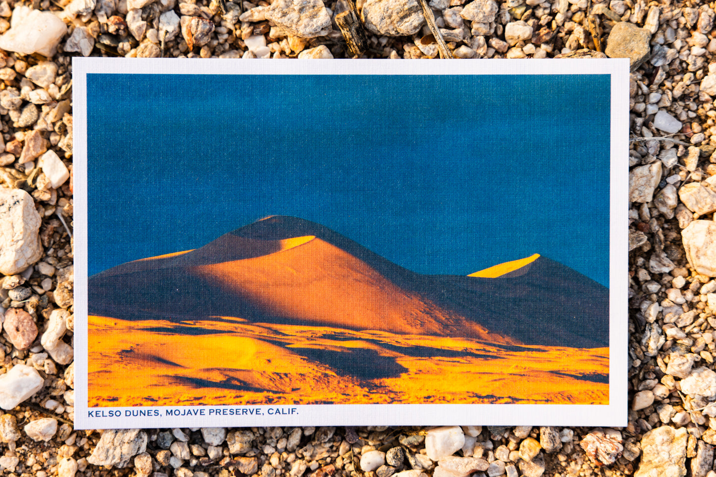 Postcards - Pack of 6
