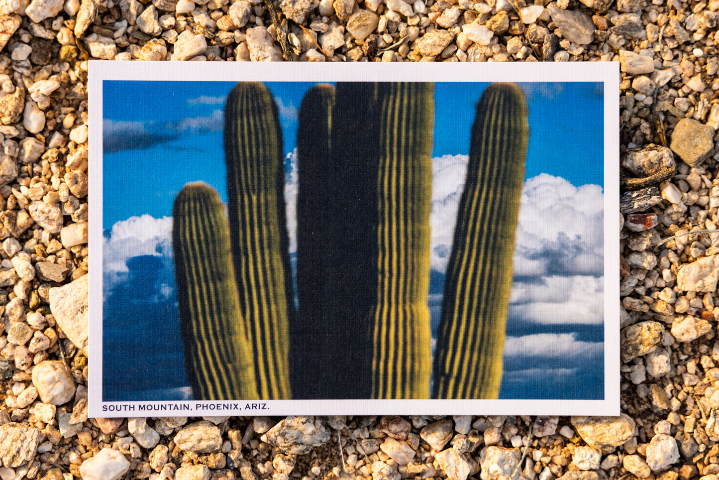 Postcards - Pack of 6