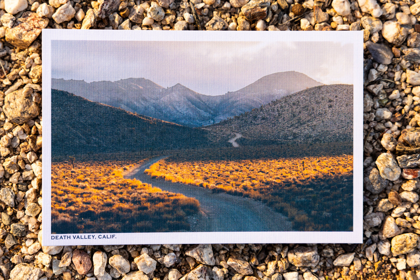 Postcards - Pack of 6