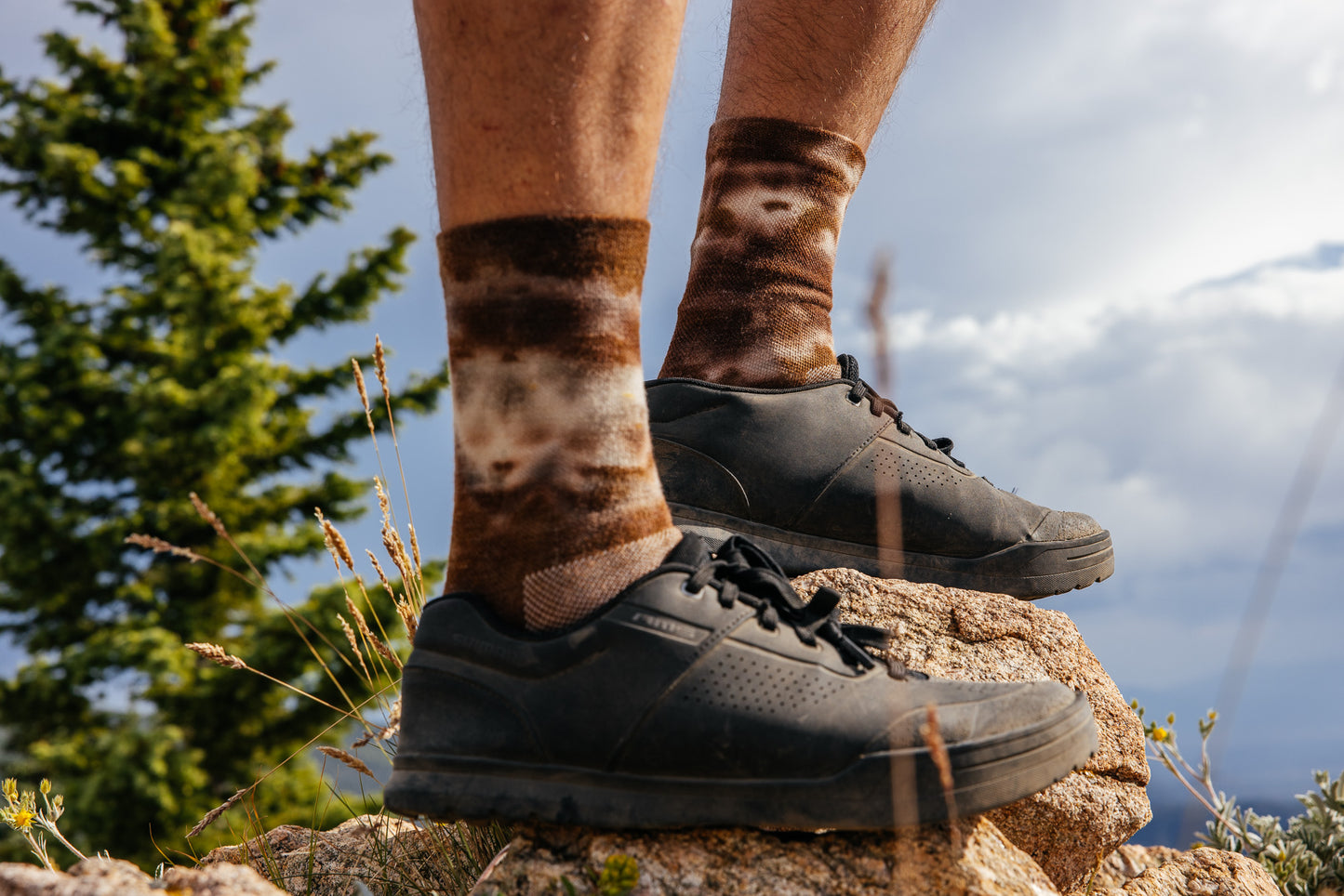 Gneiss Socks