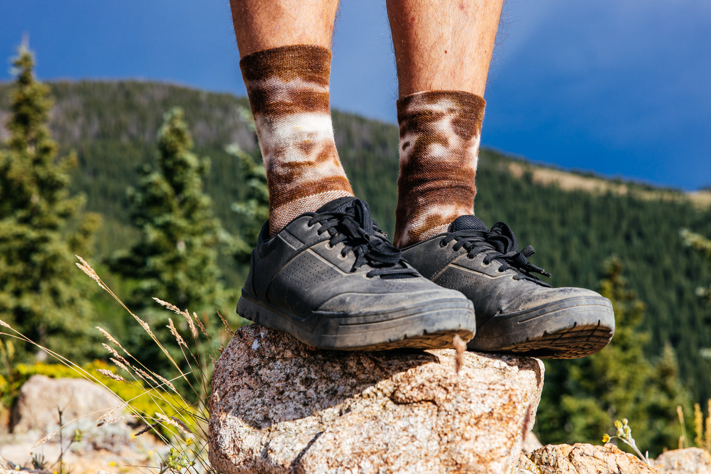 Gneiss Socks