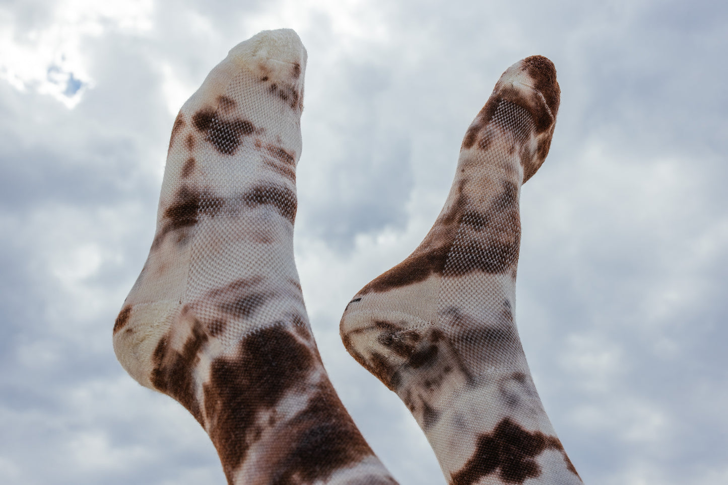 Gneiss Socks