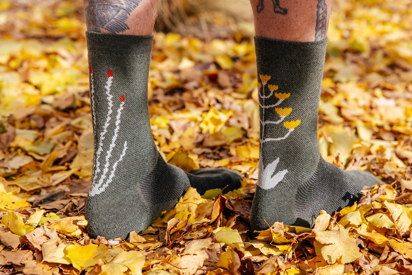 Socks - Cactavist - Winter