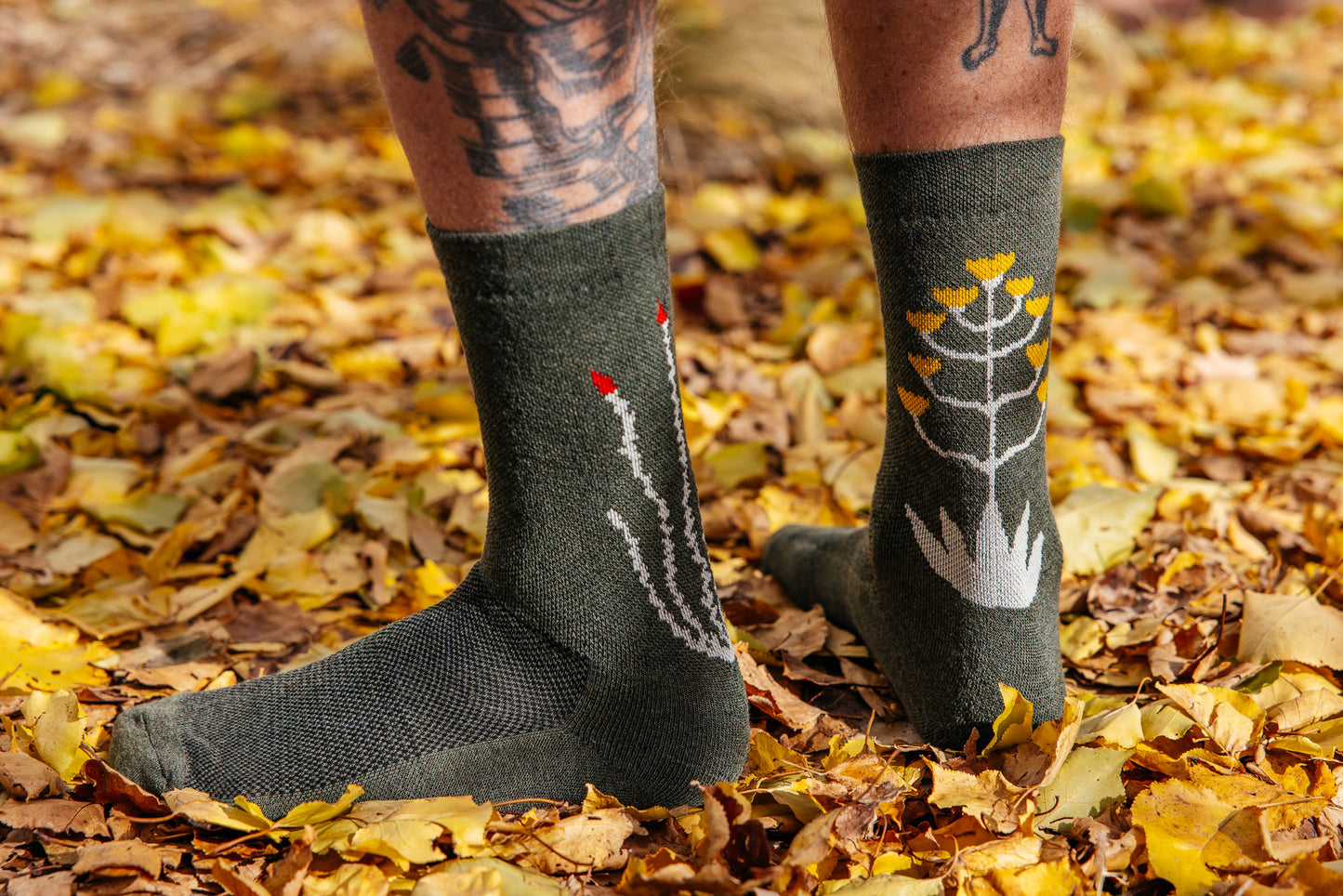 Socks - Cactavist - Winter