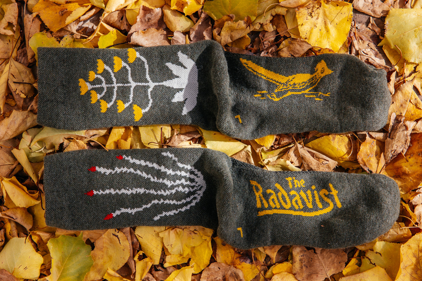 Socks - Cactavist - Winter