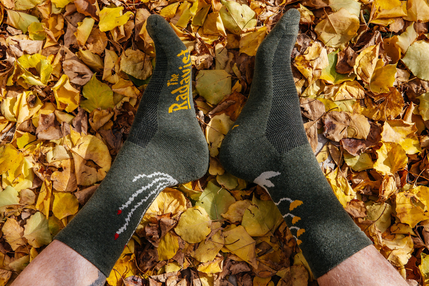 Socks - Cactavist - Winter