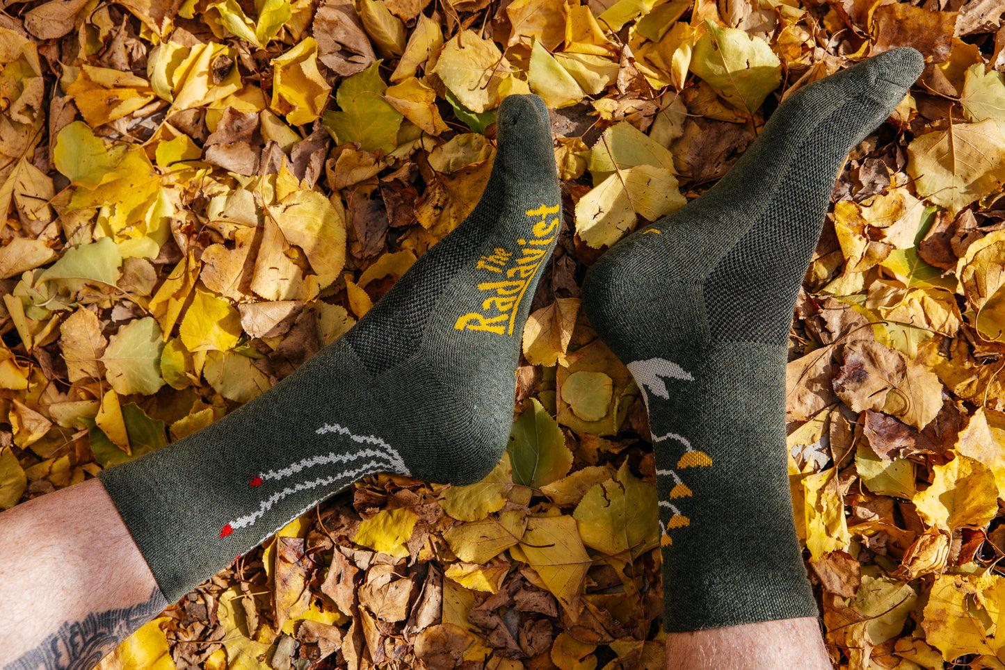 Socks - Cactavist - Winter