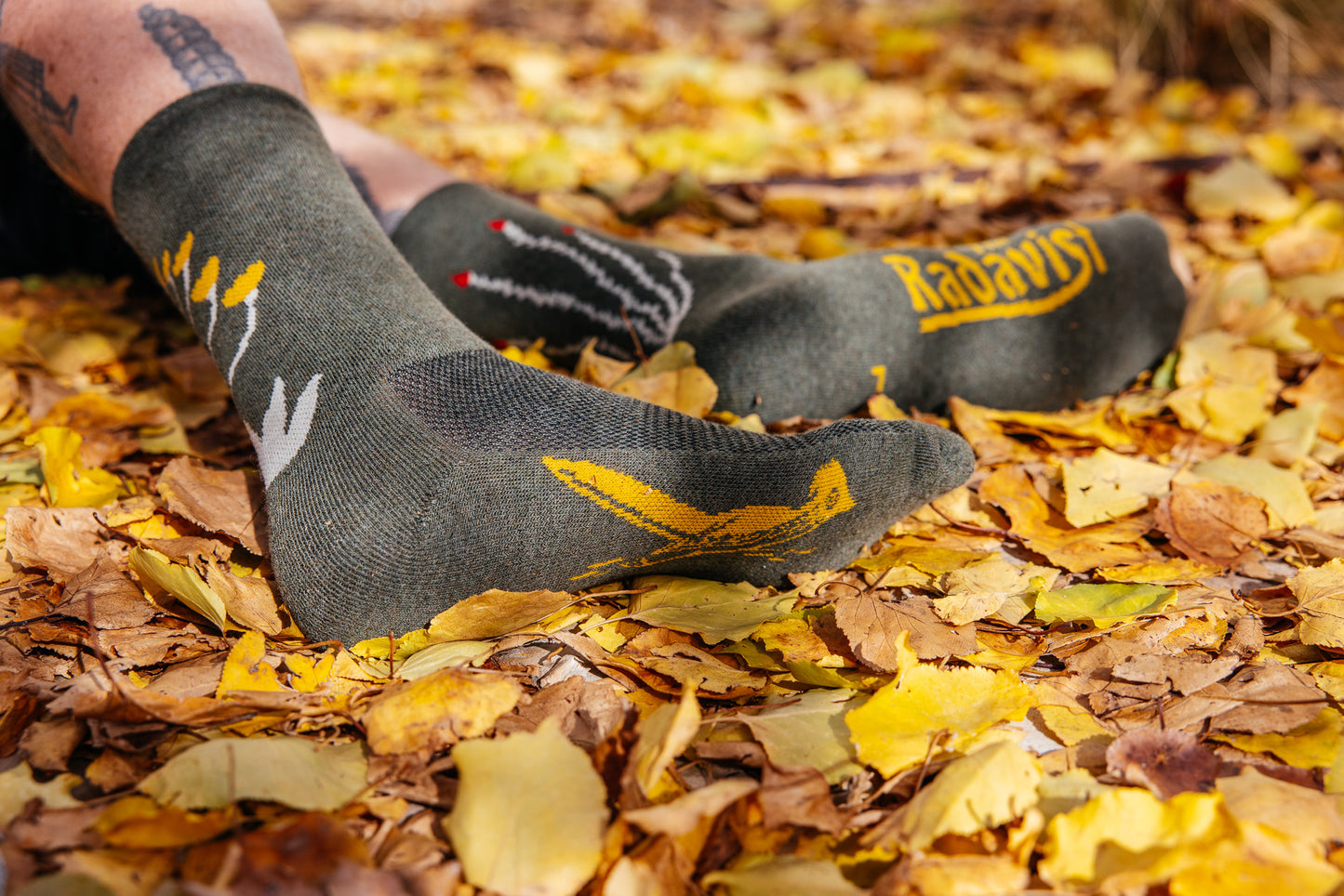 Socks - Cactavist - Winter