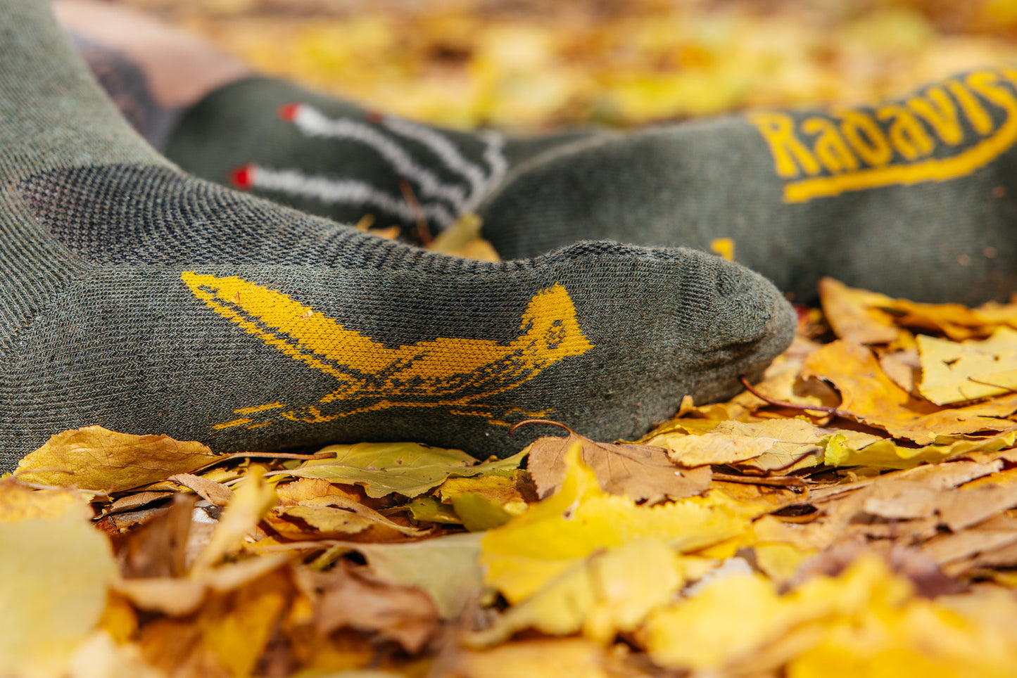 Socks - Cactavist - Winter